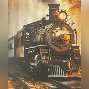 (1MC15)Retro Look Steam Engine Train Shower Curtain with Hooks New